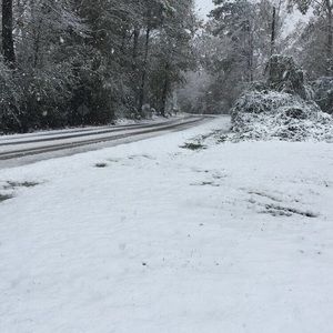 Meet your Posher, Jade